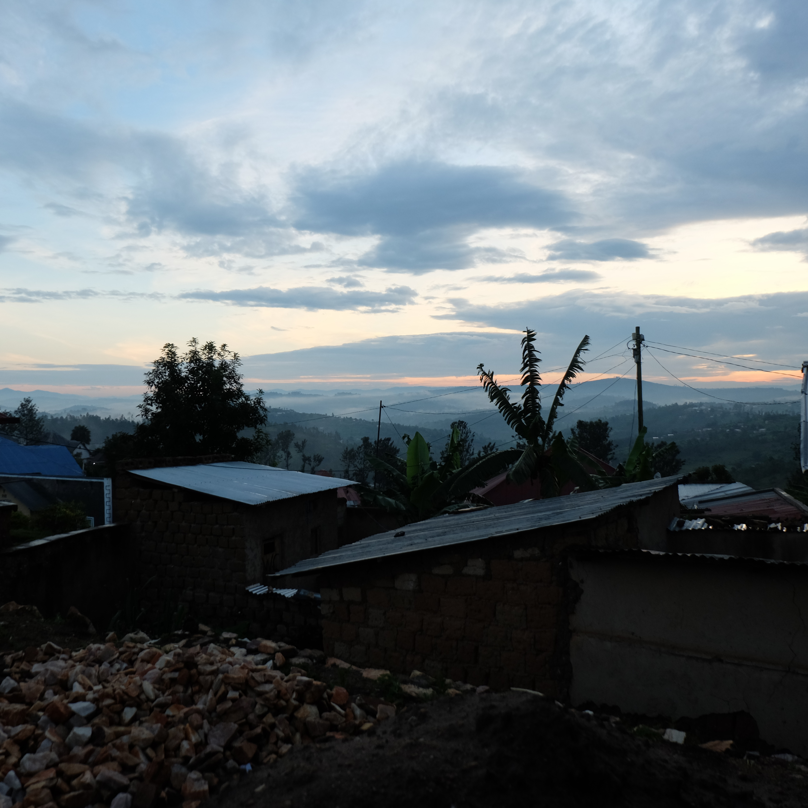 Rwanda Rugali Natural(24/25年クロップ) | ORIGIN COUNTRIES for